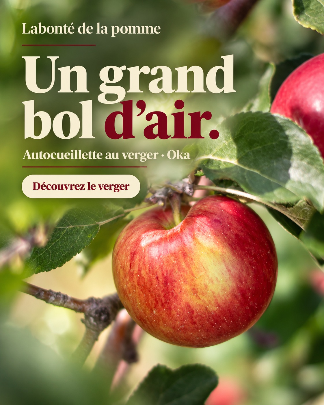 Un panier de pommes. Un grand bol d’air.