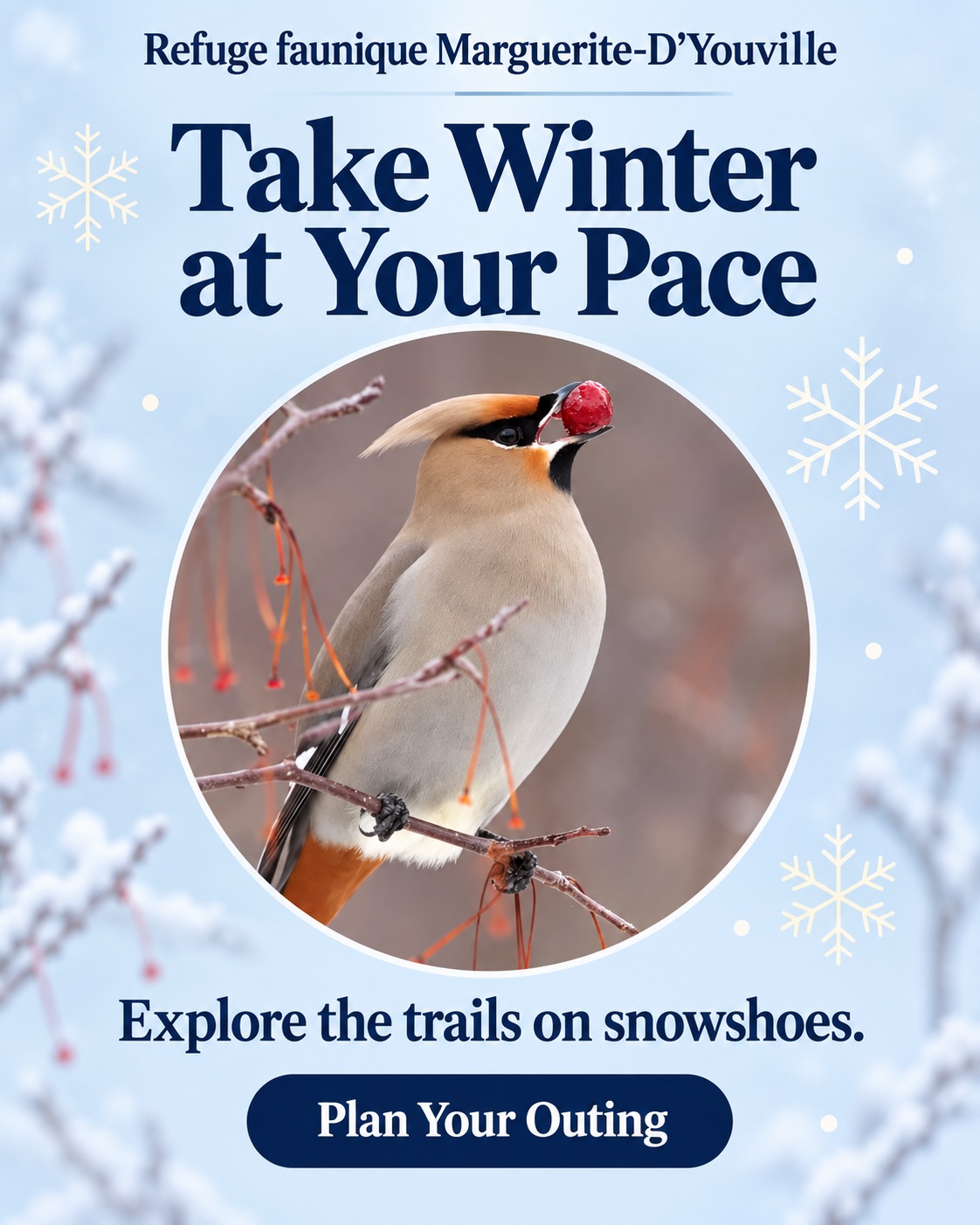 Little trails. A great big winter.