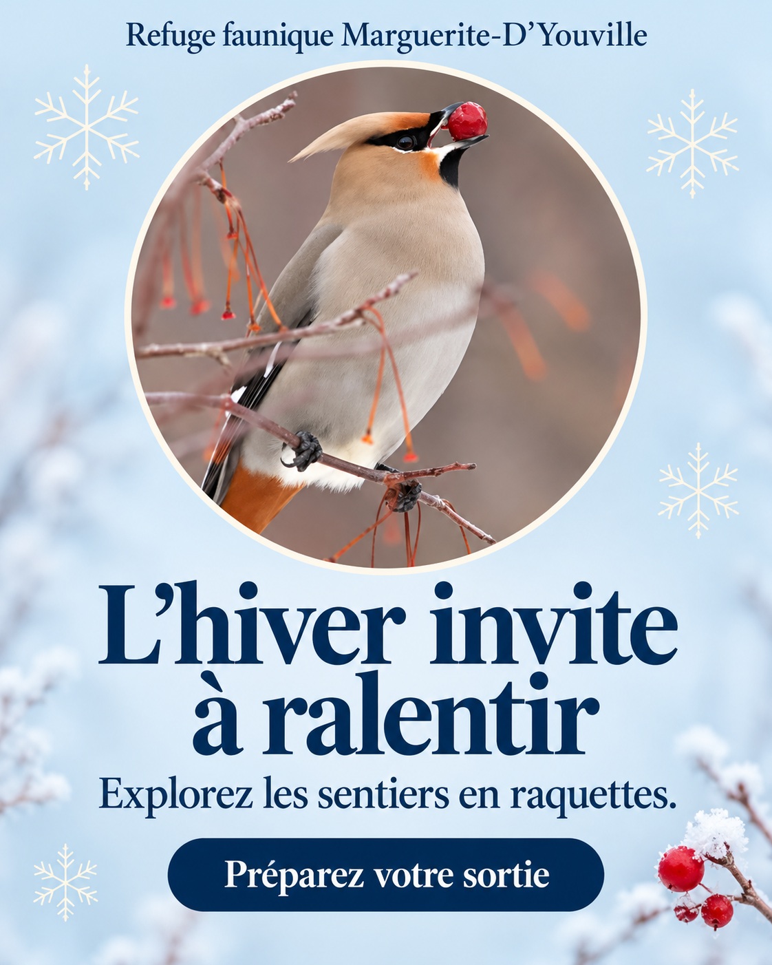 Un petit sentier. Un grand hiver.